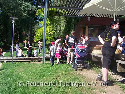 100_3355.JPG